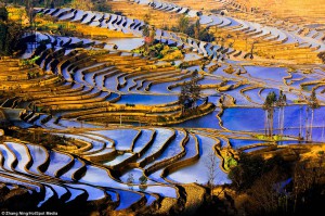 kina1