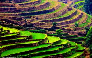 kina2