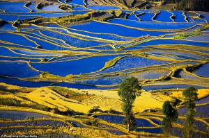 kina3