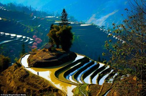 kina5