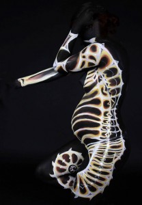 body7