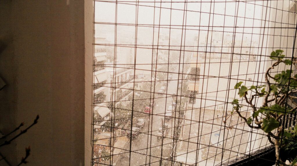 snow 6