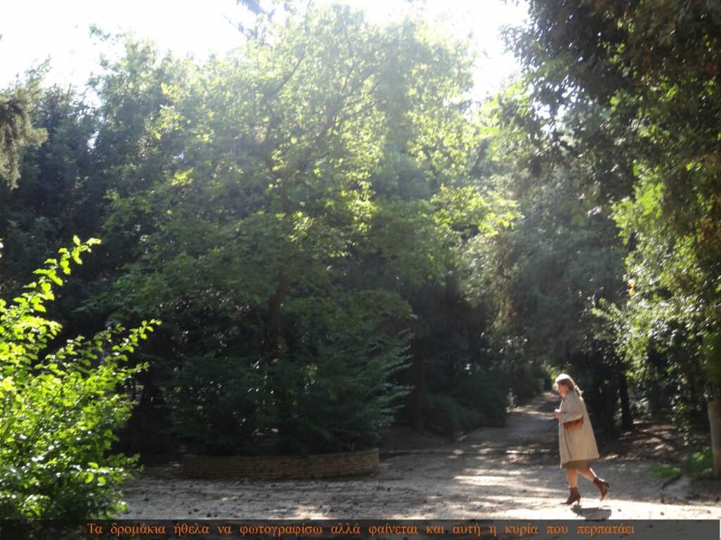 DSC04249