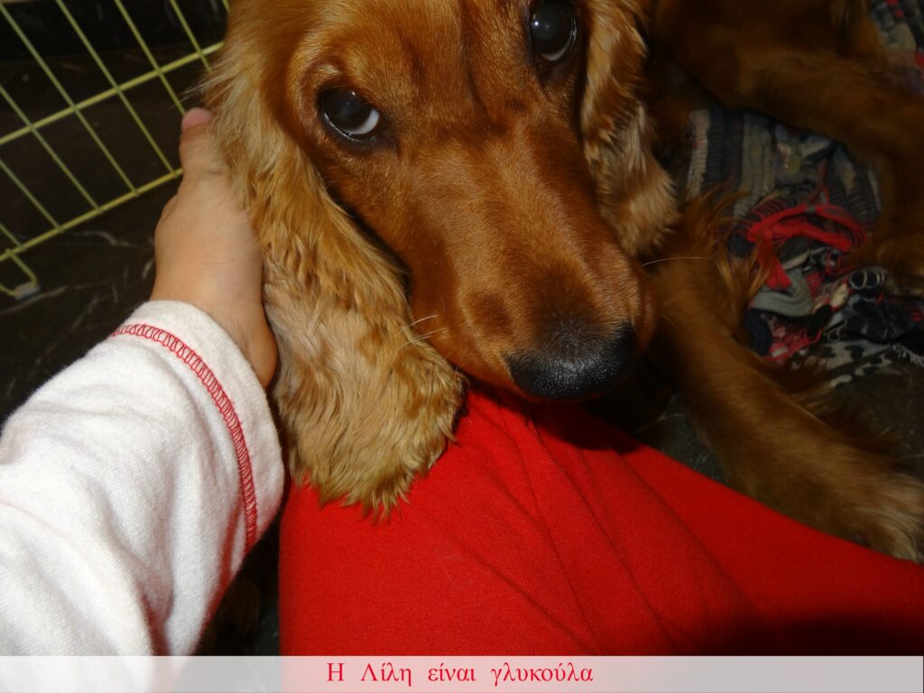 skyli