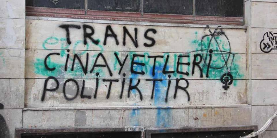 turkey-trans-30