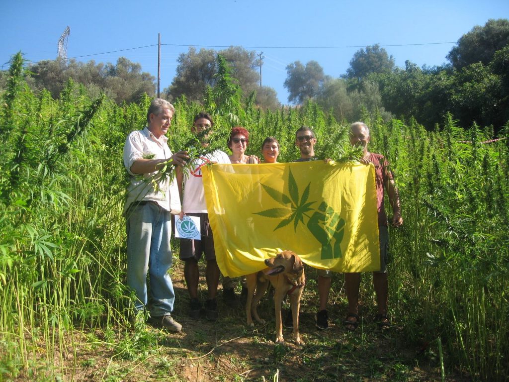 cannabio3